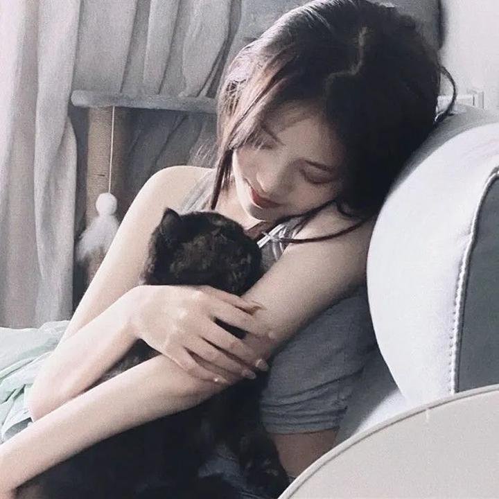 美国派9