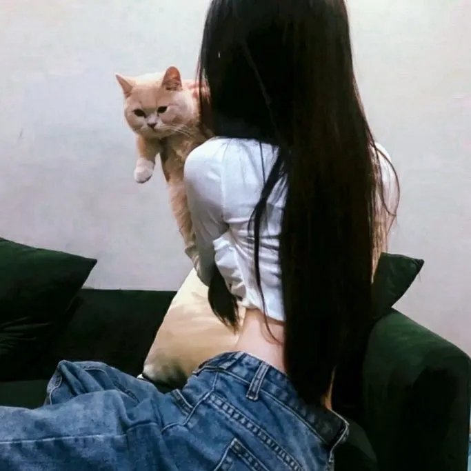 他叫我狐狸
